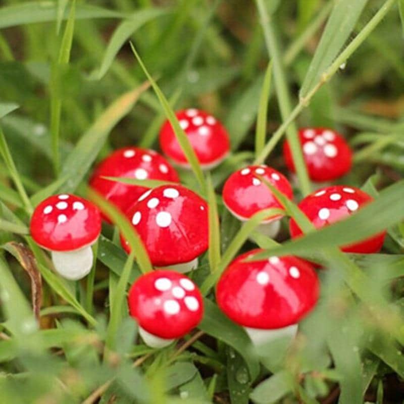 Amanita Muscaria Mushroom Decoration-LED Light Bulbs