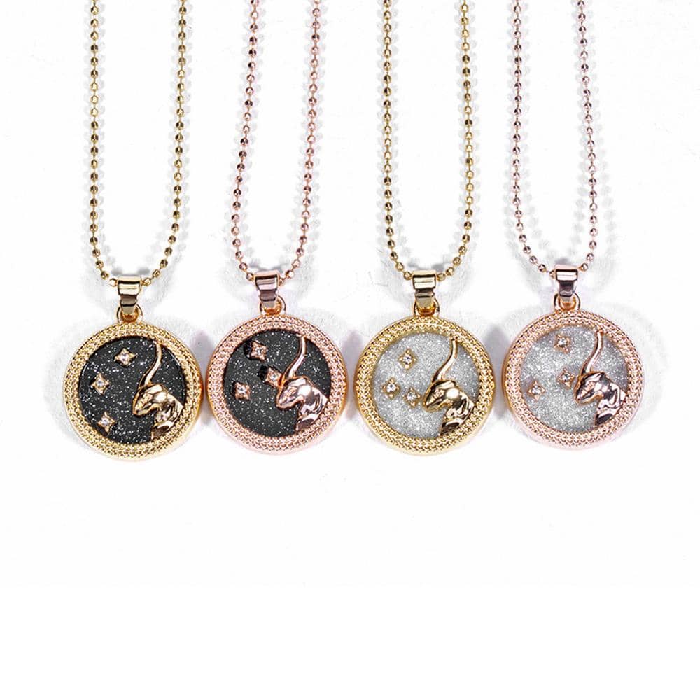 Zodiac Constellation Nacklace