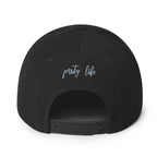 Evolution of Party Snapback Hat-Head Gear
